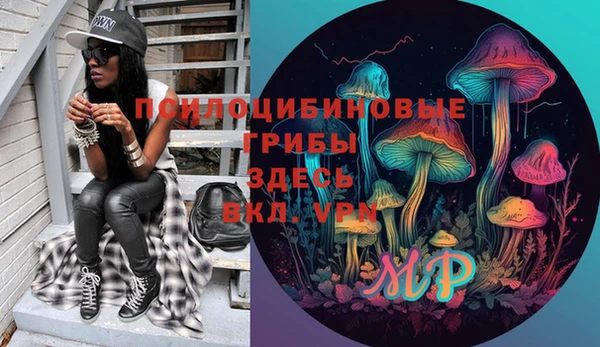 дурь Аркадак