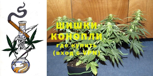 spice Арсеньев