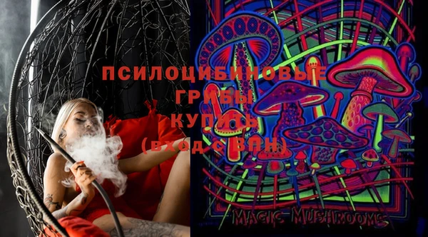 дурь Аркадак