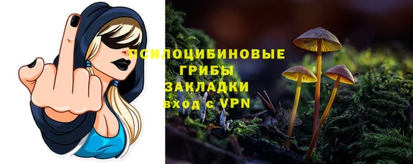 spice Арсеньев